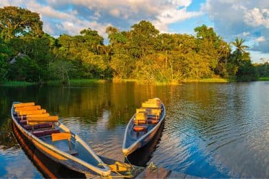 V CATC: Carta de São Luís marca criação do Projeto Nacional de Sustentabilidade e Meio Ambiente