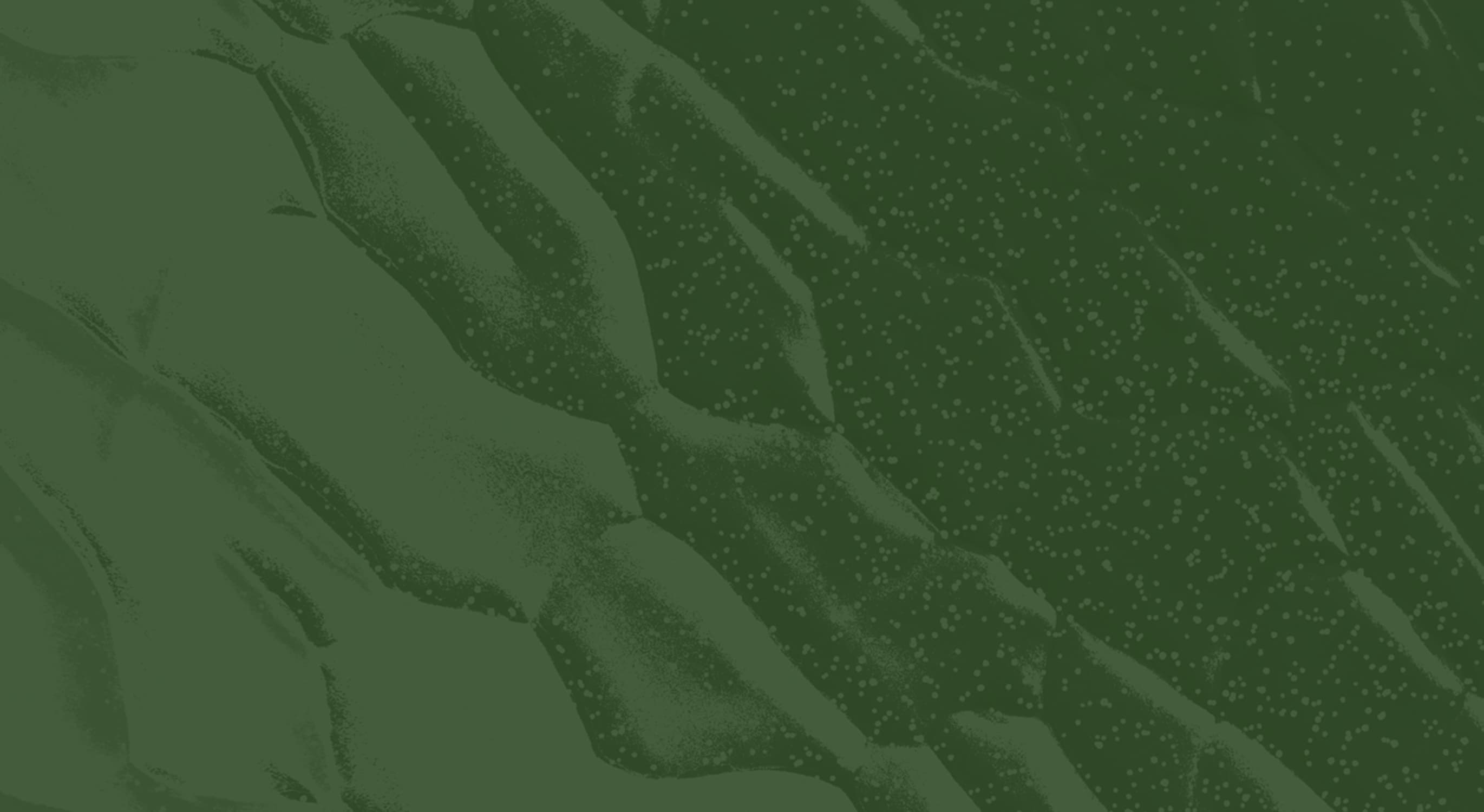 CTA background